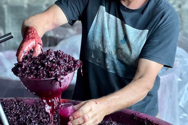 Luke's McLaren Vale Wine Tour