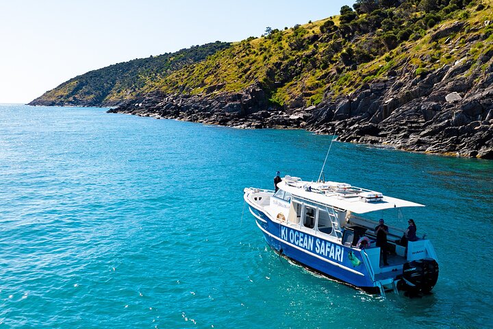 Kangaroo Island 75-Minute Coastal Safari
