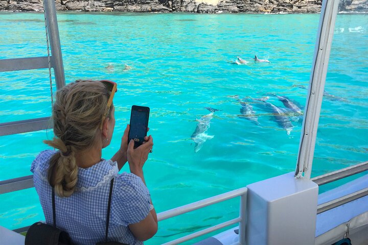 Kangaroo Island 75-Minute Coastal Safari