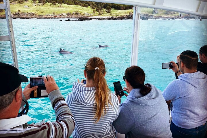 Kangaroo Island 75-Minute Coastal Safari