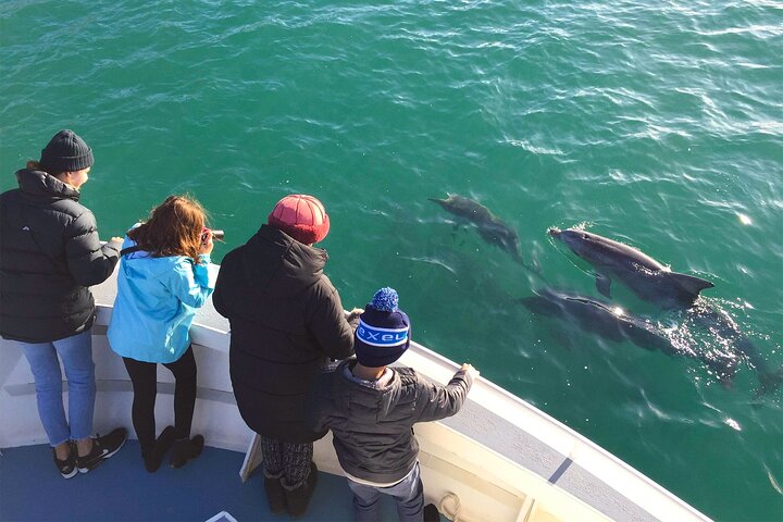 Kangaroo Island 75-Minute Coastal Safari