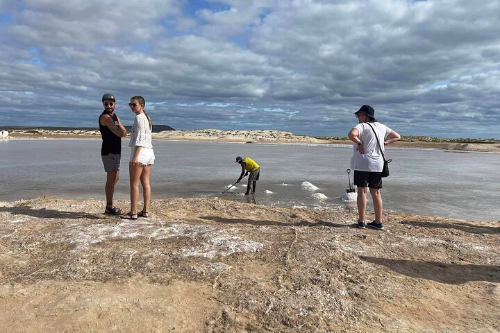 All inclusive full-Day Tour in Sal Island (Lunch and all fees included)