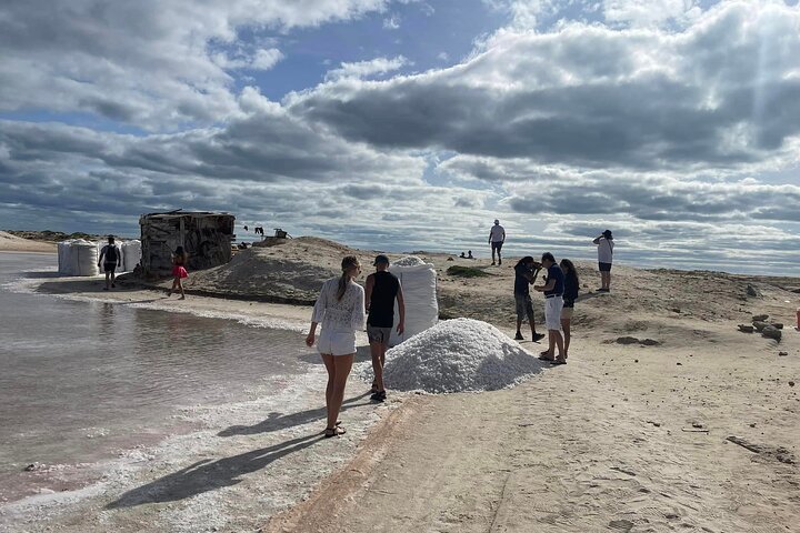 All inclusive full-Day Tour in Sal Island (Lunch and all fees included)