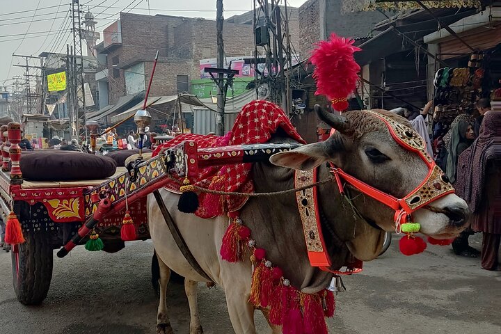 Lahore Full Day Sightseeing Tour