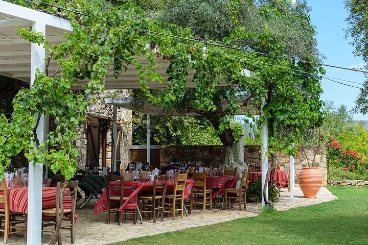 Crete Wine and Olive Oil Tour