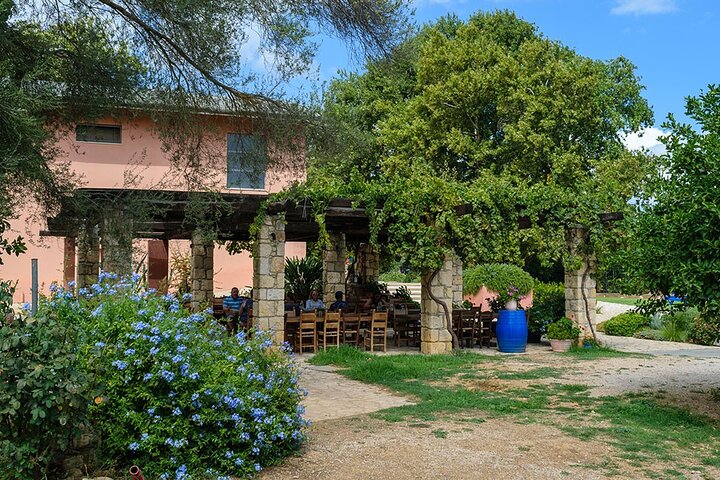 Crete Wine and Olive Oil Tour