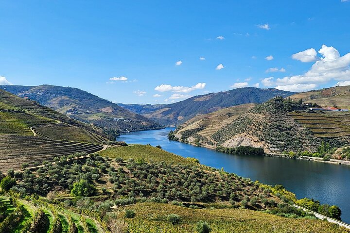 Private Douro Valley Tour (2 wineries + boat)