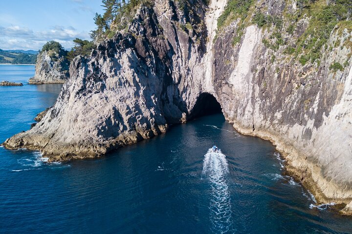 Sea Cave Adventures in Whitianga