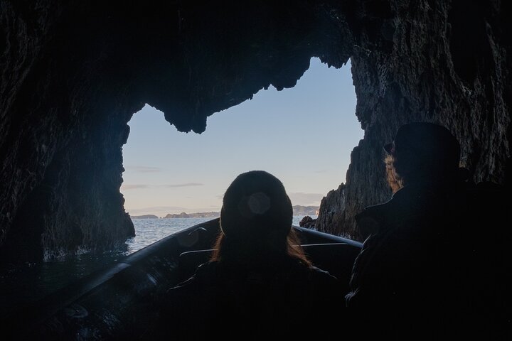 Sea Cave Adventures in Whitianga