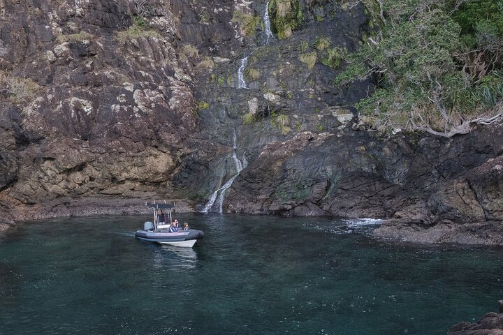 Sea Cave Adventures in Whitianga