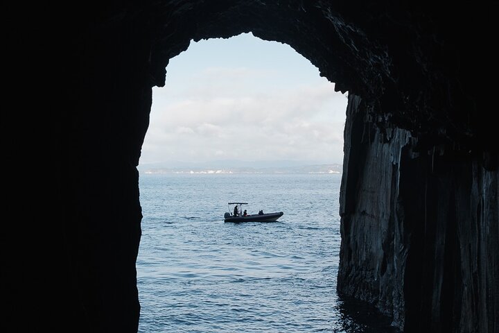 Sea Cave Adventures in Whitianga