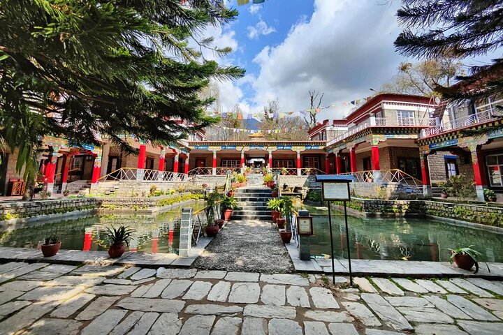 Guided, India's Own Mini Tibet Mcleodganj- Culture Tour
