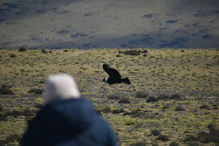 Private Torres del Paine & Milodon, departing from Punta Arenas