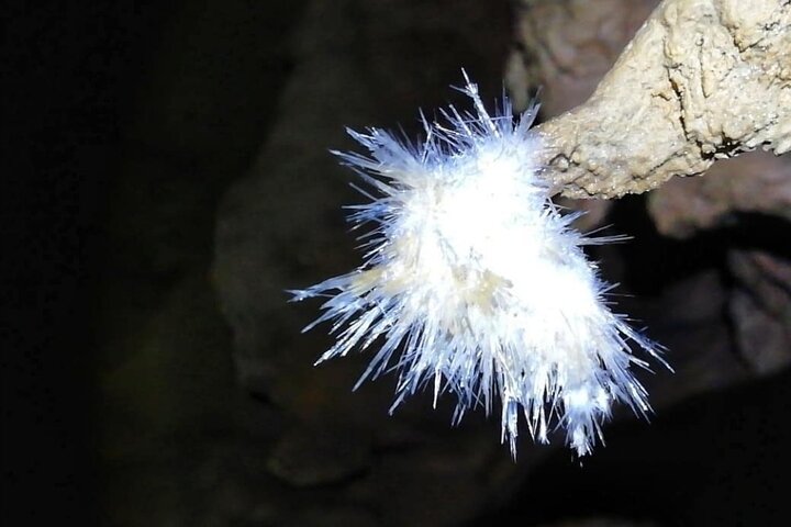 El Soplao Cave Visit with entrance ticket- small groups