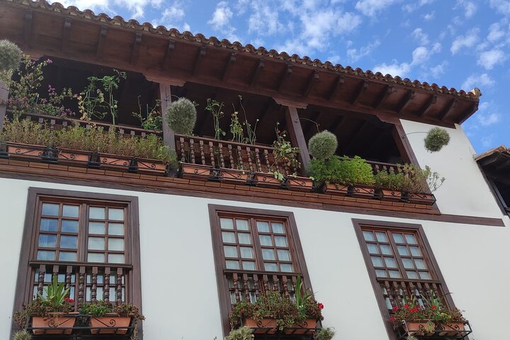 Santillana del Mar & Altamira Museum with tickets- small groups