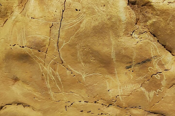 Santillana del Mar & Altamira Museum with tickets- small groups
