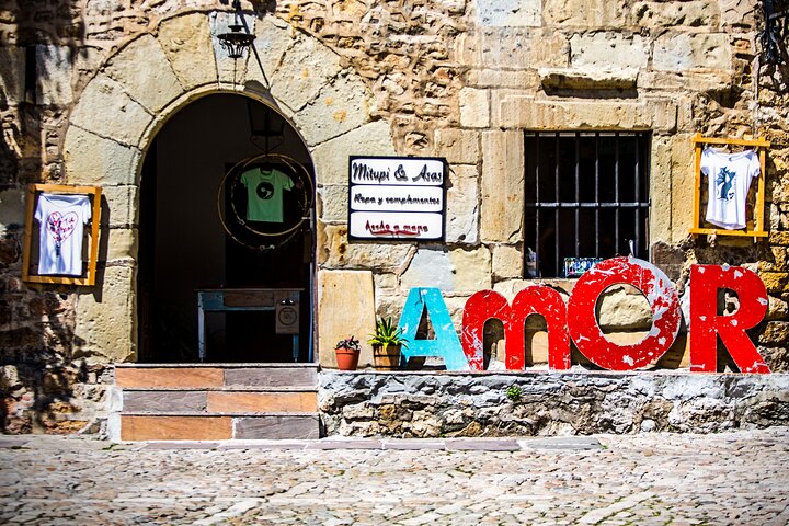 Santillana del Mar & Altamira Museum with tickets- small groups