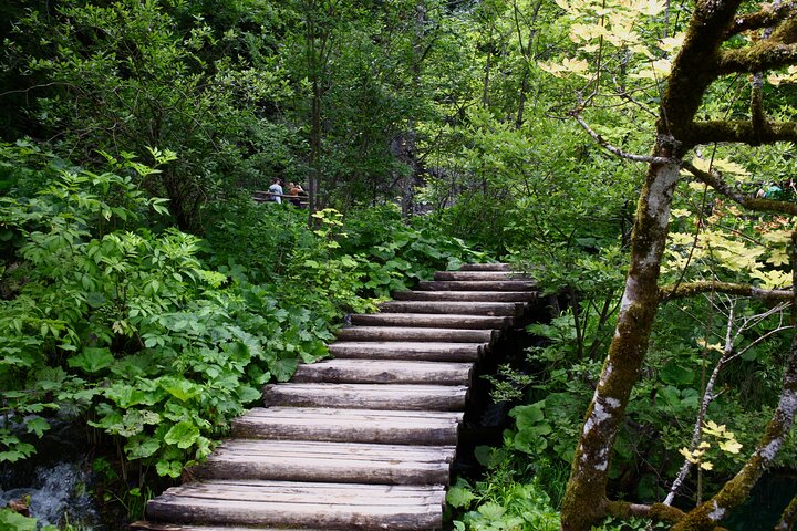 From Zadar: Plitvice Lakes Guided Day Tour with Tickets