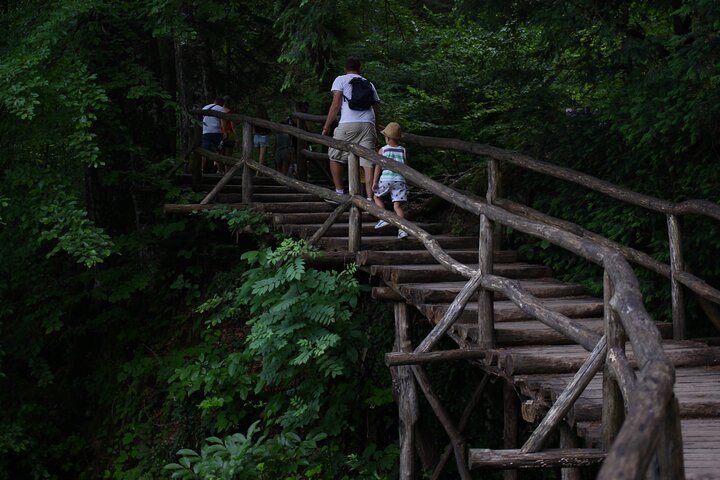 From Zadar: Plitvice Lakes Guided Day Tour with Tickets