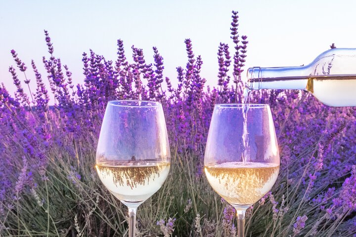 Provence small group half-day wine tour from Aix