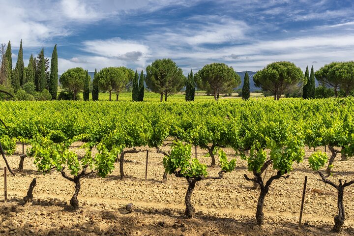 Provence small group half-day wine tour from Aix