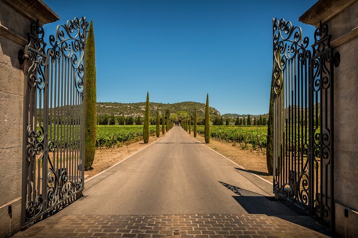 Provence small group half-day wine tour from Aix