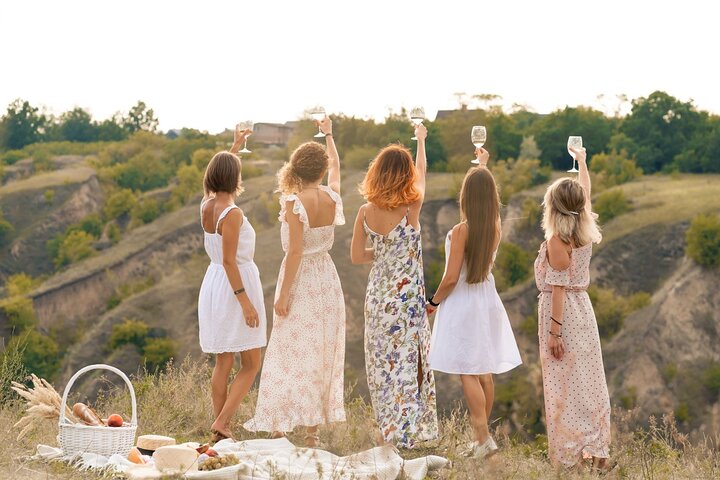 Provence small group half-day wine tour from Aix