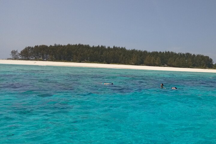 Half Day Zanzibar Mnemba Atoll Marine Reserve Snorkeling Tour