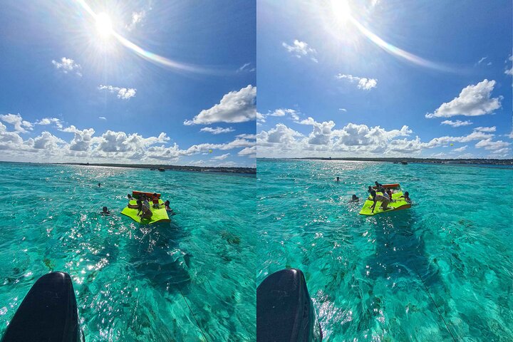 Private Pontoon Day by the Aquarium and San Andres Bay