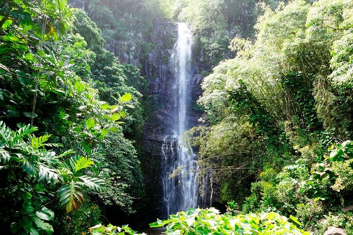 Road to Hana Rainforest, Black Sand Beach, Waterfalls & Lunch