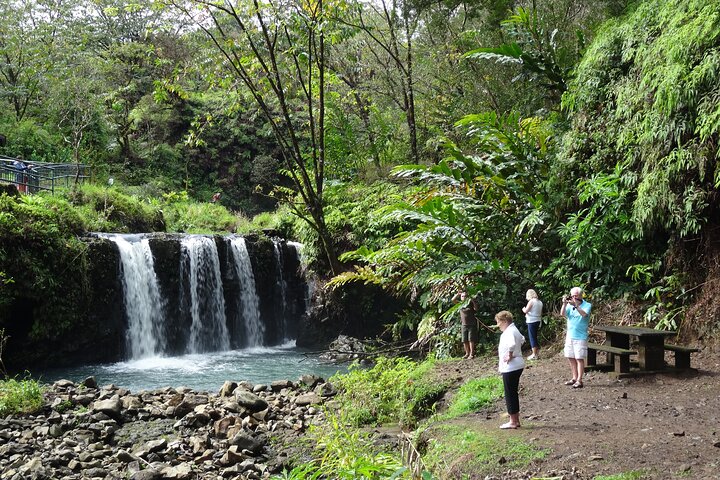 Road to Hana Rainforest, Black Sand Beach, Waterfalls & Lunch