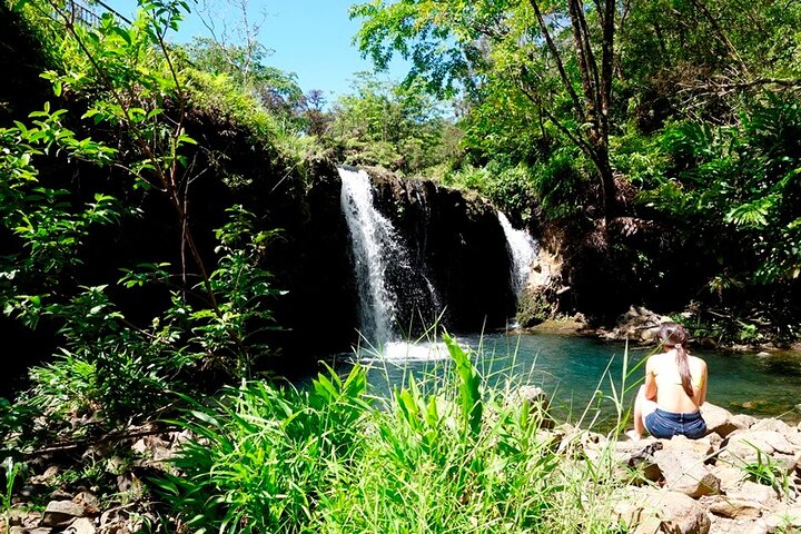 Road to Hana Rainforest, Black Sand Beach, Waterfalls & Lunch
