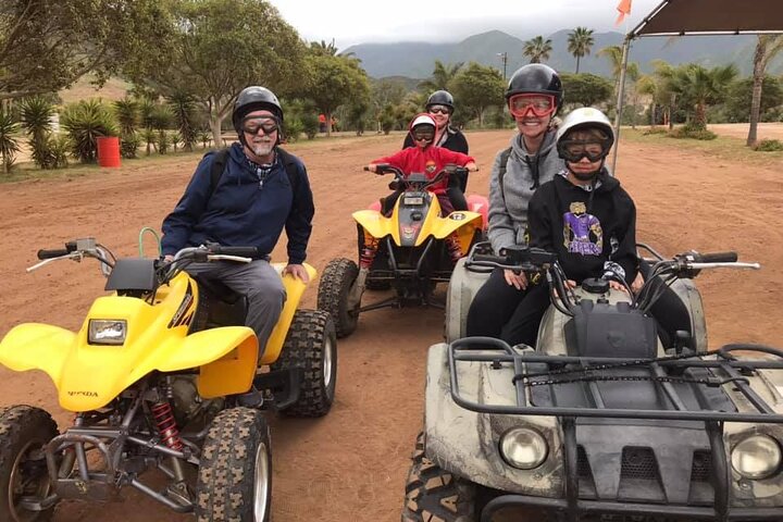 Shore Excursion Ensenada: ATV + Taco & Bufadora options