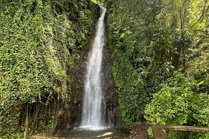 The Cascading Dark View Falls and Beach Experience with Topdawg Taxi and Tours