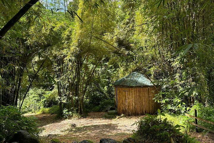 The Cascading Dark View Falls and Beach Experience with Topdawg Taxi and Tours