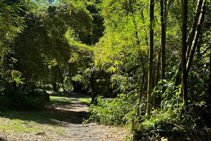 The Cascading Dark View Falls and Beach Experience with Topdawg Taxi and Tours