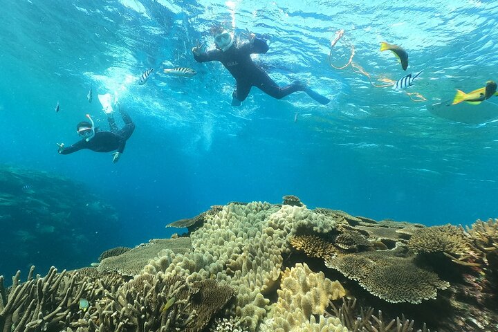 Okinawa : Boat Snorkeling 1 Round at Minna, Sesoko or Motobu