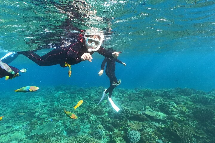 Okinawa : Boat Snorkeling 1 Round at Minna, Sesoko or Motobu