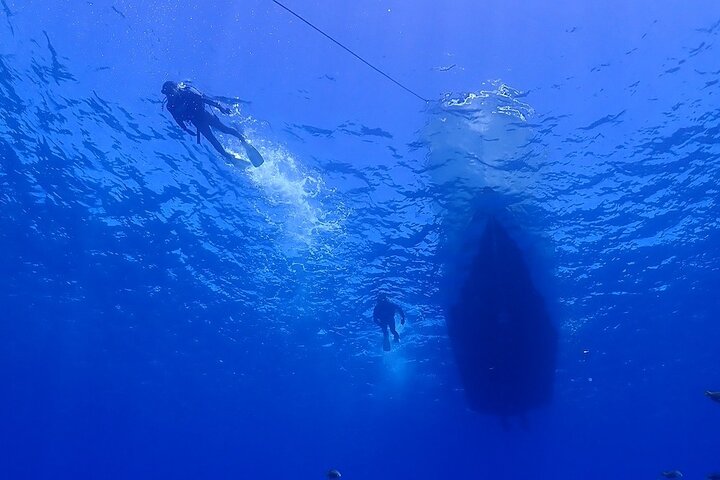 Okinawa: Boat Fun Diving at Minna, Sesoko or Motobu