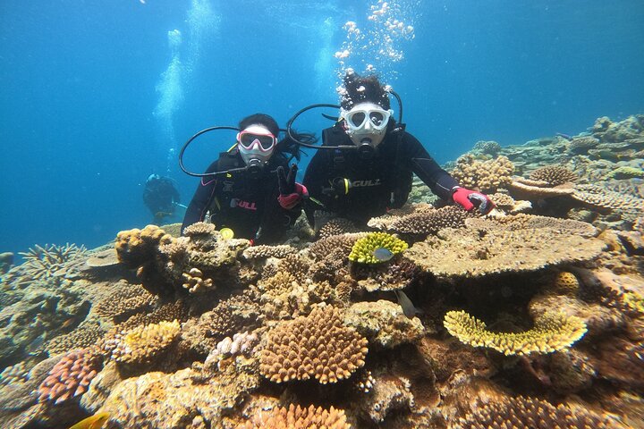 Okinawa: Discover SCUBA Diving 1 Dive at Minna, Sesoko or Motobu