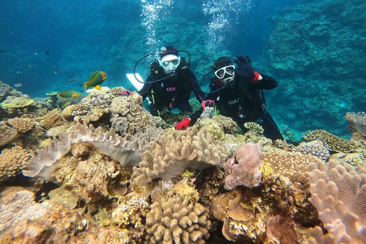Okinawa: Discover SCUBA Diving 1 Dive at Minna, Sesoko or Motobu