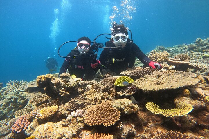 Okinawa: Discover SCUBA Diving 2 Dives at Minna, Sesoko or Motobu