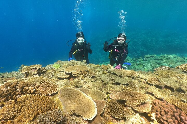 Okinawa: Discover SCUBA Diving 2 Dives at Minna, Sesoko or Motobu
