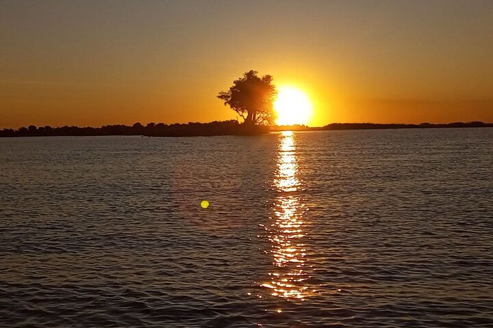 Chobe Full day Safari: Game Drive & Boat Safari with Lunch