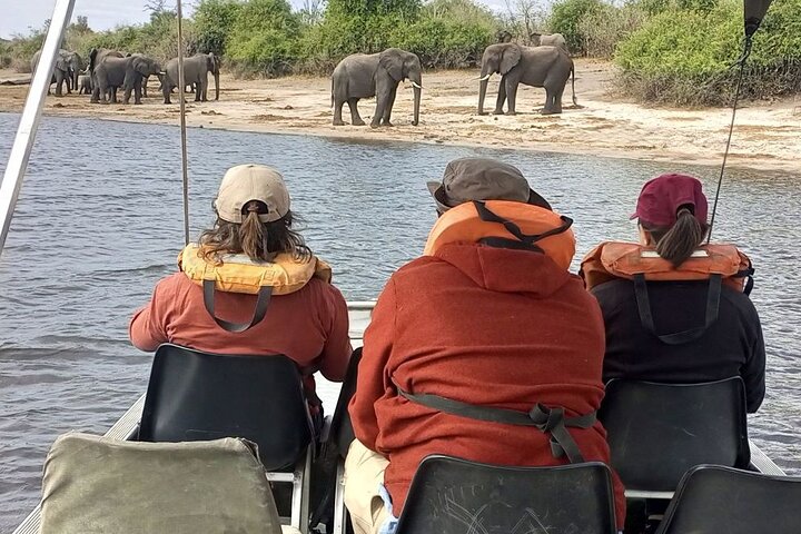 Chobe Full day Safari: Game Drive & Boat Safari with Lunch