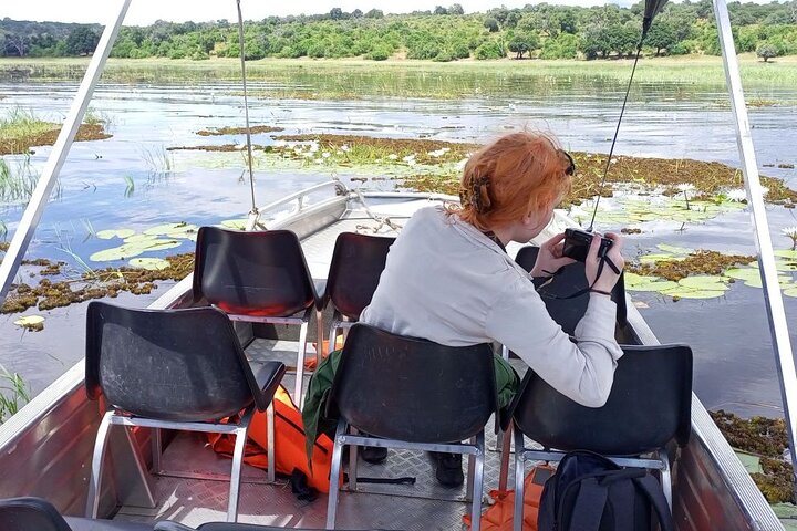 Chobe Full day Safari: Game Drive & Boat Safari with Lunch