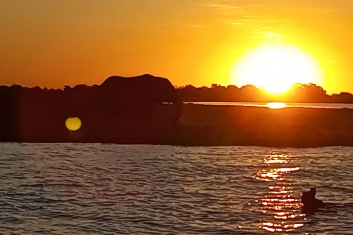 Chobe Full day Safari: Game Drive & Boat Safari with Lunch