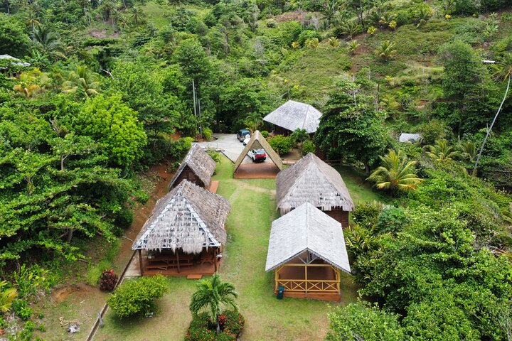 DG Tours - Full-Day Private Tour Experience