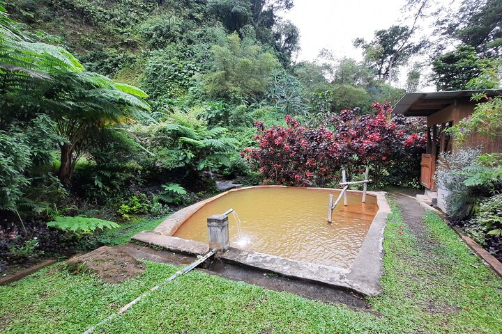 DG Tours - Full-Day Private Tour Experience