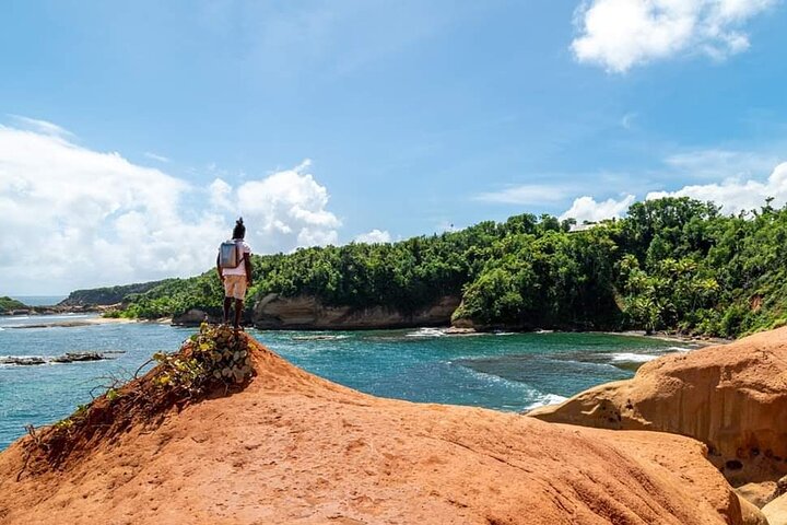 DG Tours - Full-Day Private Tour Experience